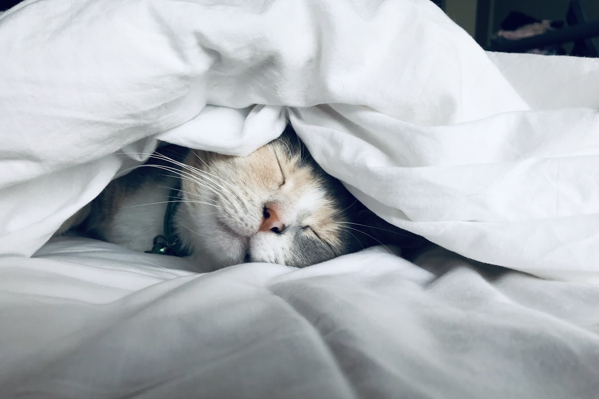 Deep sleep N3 H₂ — protocole 30 minutes pré-coucher HYDROGENYX Image